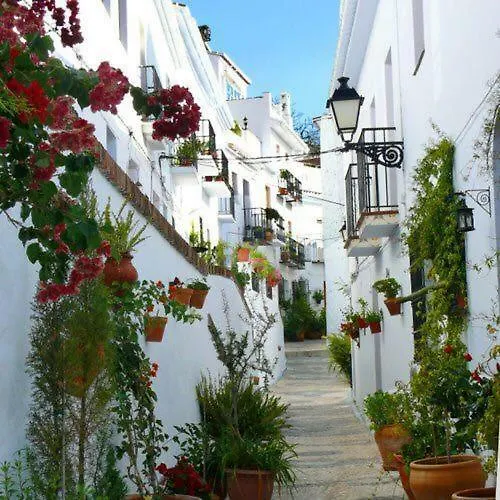 Olivo 15H Apartment Frigiliana Spain